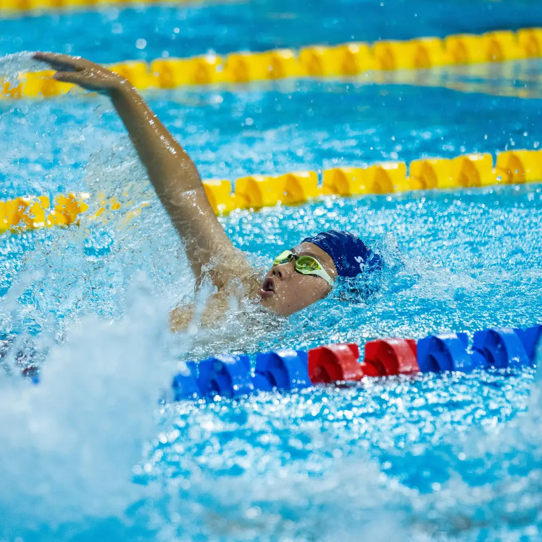Swim Race Lane Lines